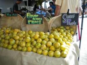 Flavor Queen Pluots